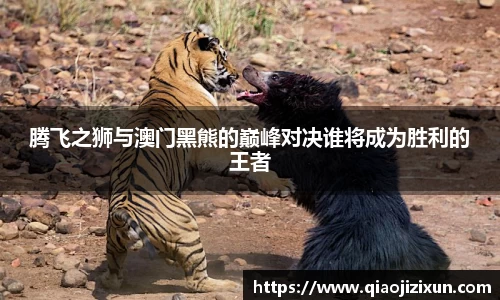 77体育在线直播官网